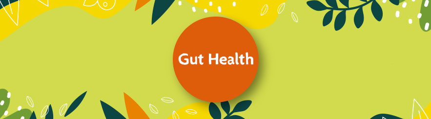 gut smart