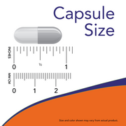 NOW Acetyl L-Carnitine 500mg Veg Capsules