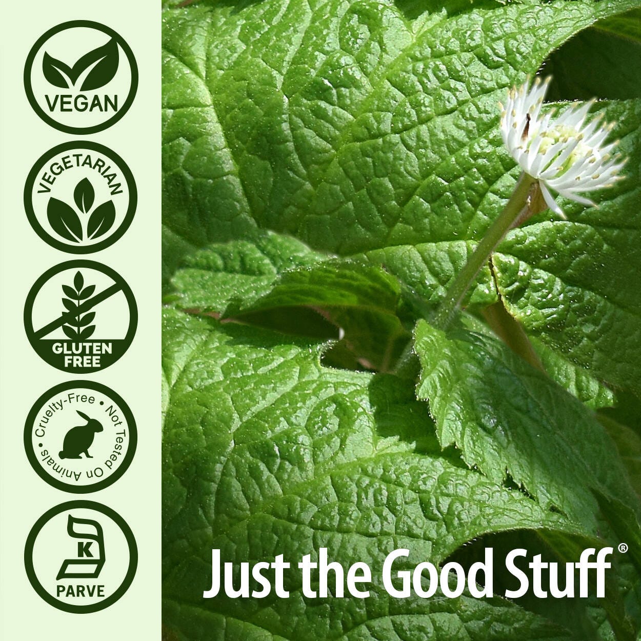 Nature’s Answer Goldenseal Root Vegetarian Capsules 550mg – 50 Count