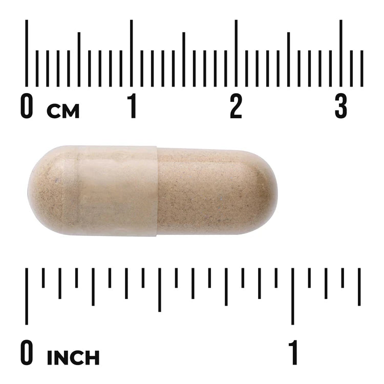 Swanson Full Spectrum Tribulus Fruit 500mg 90 Capsules herbal supplement capsule bottle 60 capsule size