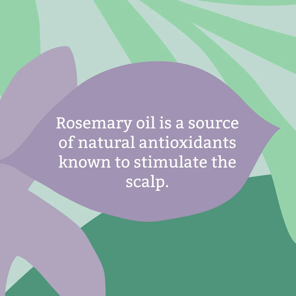 Faith In Nature Rosemary Stimulating Conditioner, bottle packaging, rosemary, 400ml, ingredients