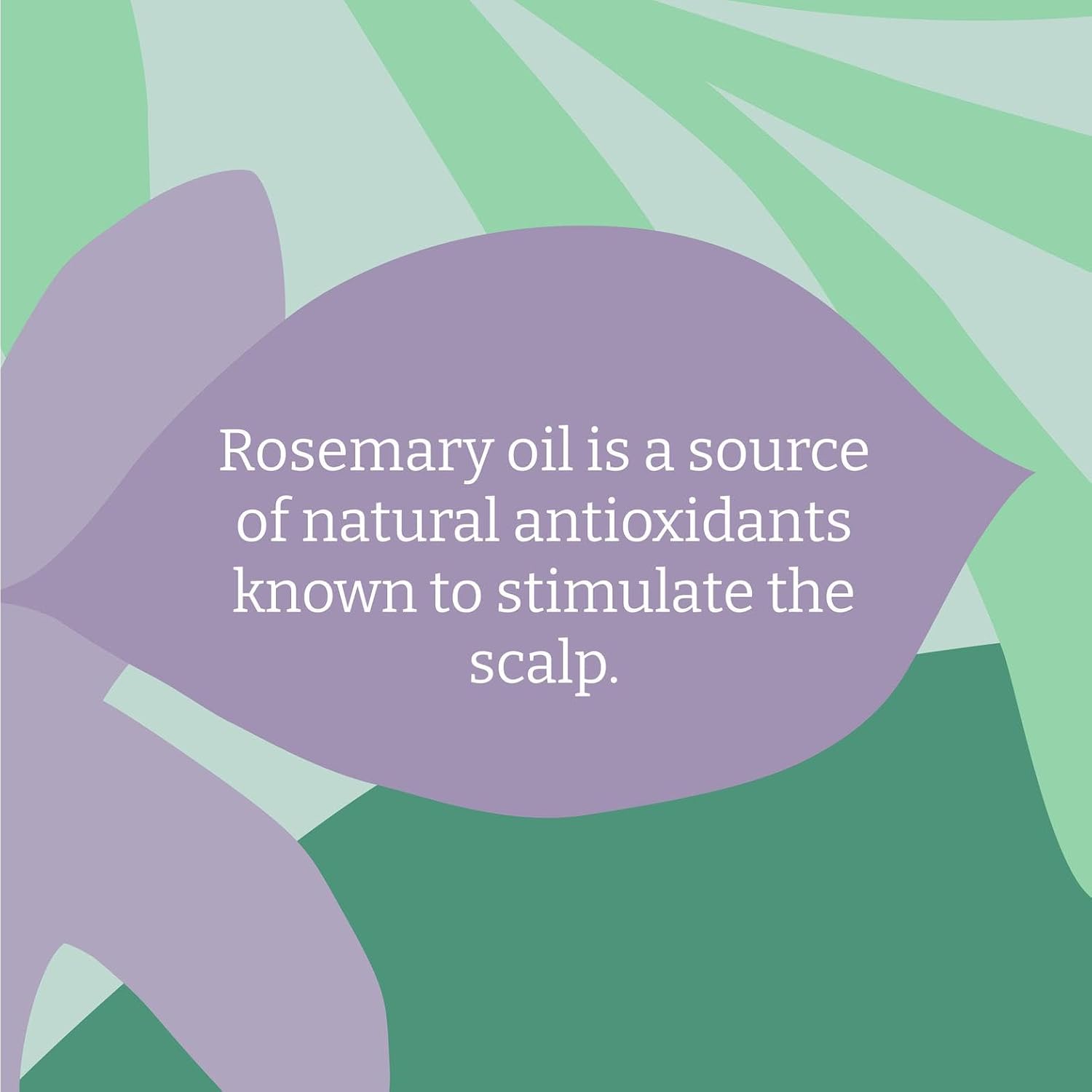 Faith In Nature Rosemary Stimulating Shampoo 400ml bottle ingredients