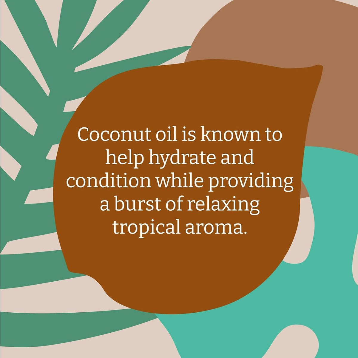 Faith In Nature Coconut Hydrating Shampoo 400ml bottle ingredients