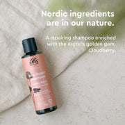 Urtekram Nordic Berry Rich Repair Shampoo, shampoo bottle packaging, fruity berry fragrance, 250ml, product information