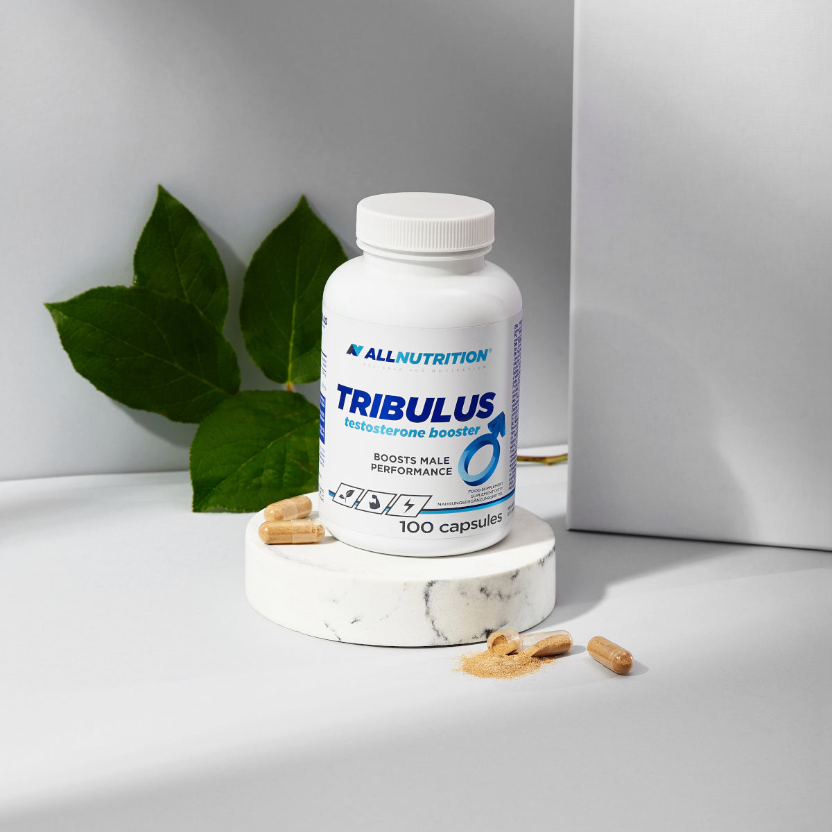 All Nutrition Tribulus Terrestris Extract, 60% Saponins - 100 Capsules