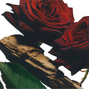 Jo Malone London Velvet Rose & Oud Body Crème, jar packaging, Velvet Rose & Oud fragrance, 200ml, ingredients information