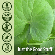 Nature’s Answer Gotu Kola Alcohol-Free Liquid Extract – 30ml