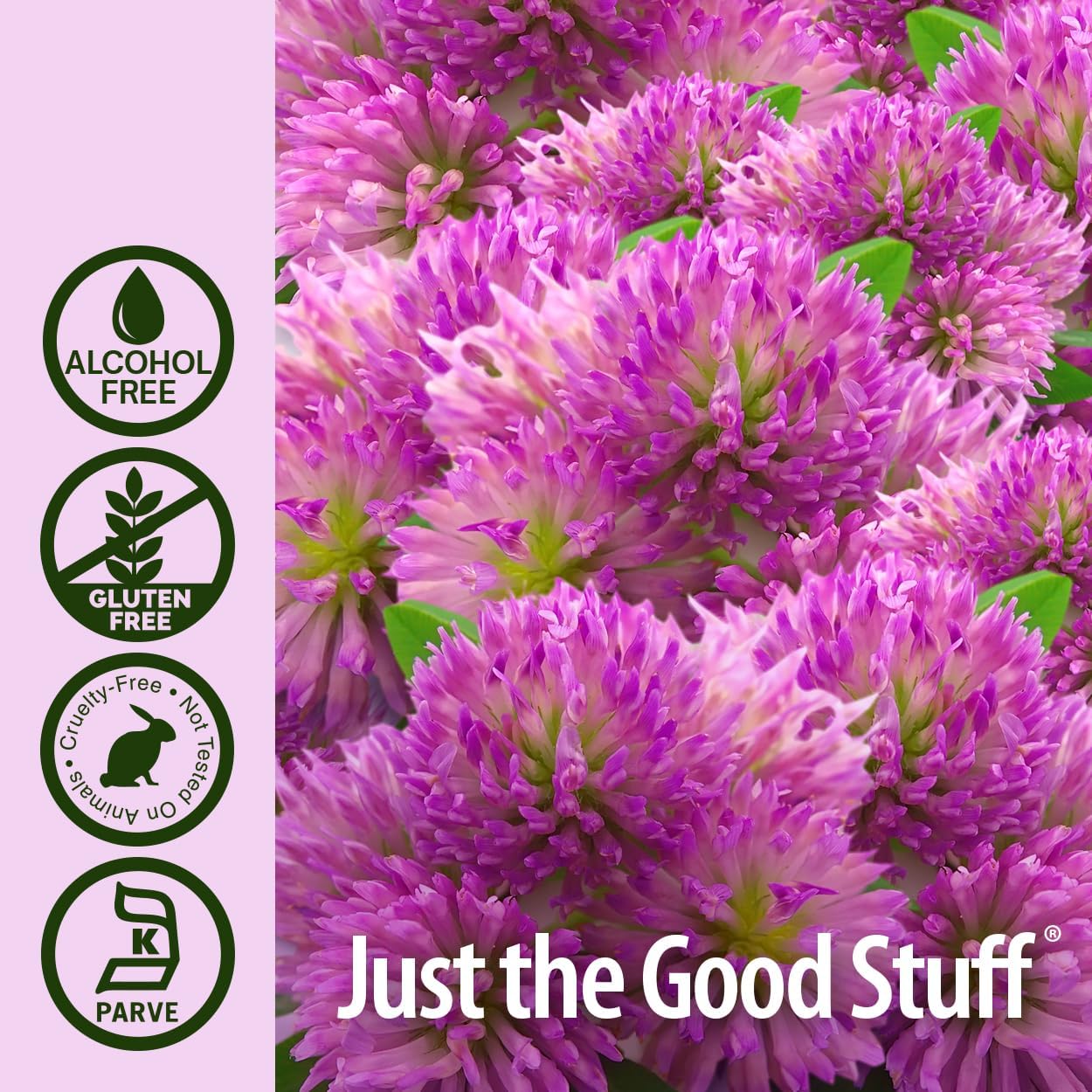 Nature’s Answer Red Clover Alcohol-Free Liquid Extract - 30ml