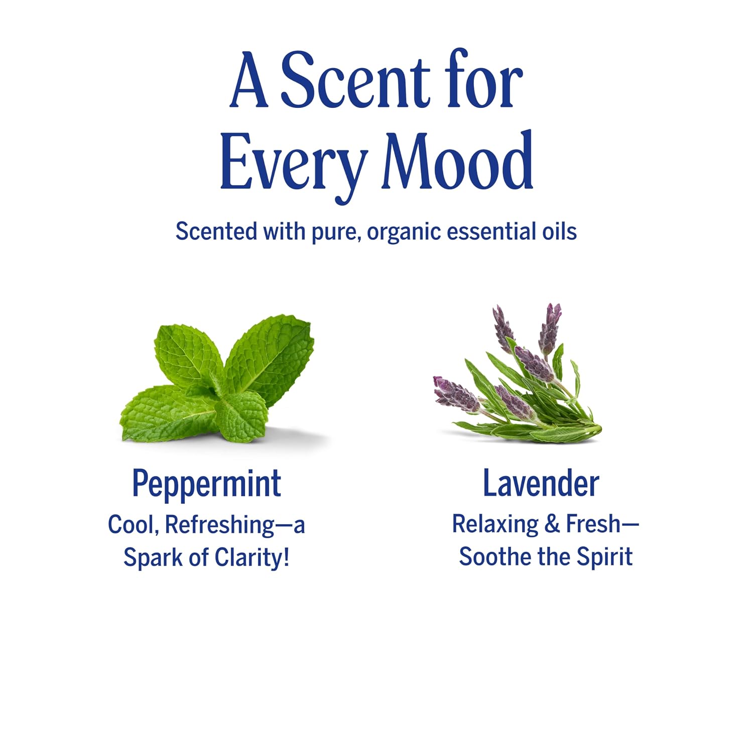 Dr. Bronner's Organic Peppermint Hand Cleansing Spray 60ml scent for every mood