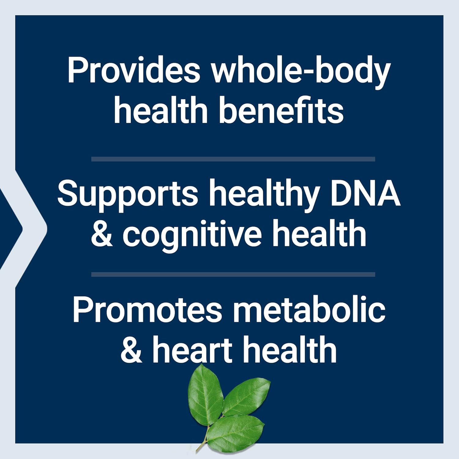 Life Extension Mix Capsules No Copper - Vitamins Minerals & Botanicals 