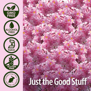 Nature’s Answer Pau D’Arco Alcohol-Free Bark Extract - 30ml
