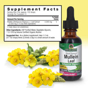 Nature’s Answer Mullein Leaf Liquid Extract 30ml supplement facts label on a white background