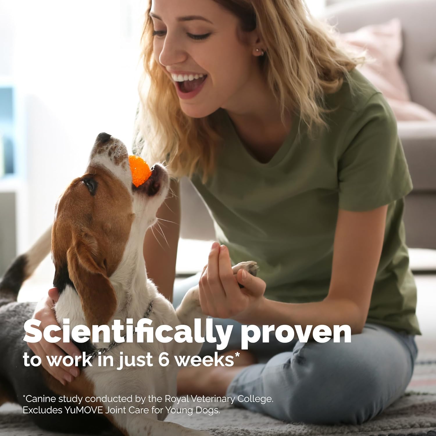 YuMOVE Joint Support Supplement for Senior Dogs - 240 Tablets