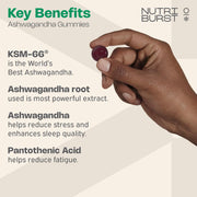 Supplement facts panel for Nutriburst Ashwagandha herbal supplement gummies.
