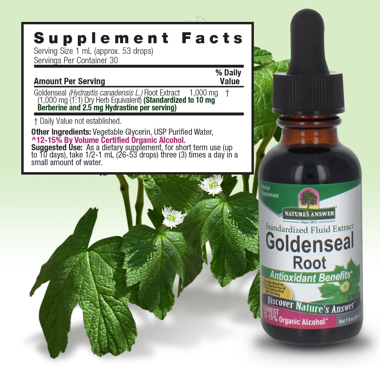 Nature’s Answer Goldenseal Root Liquid Extract 30ml supplement label and green leaves in the background