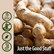 Nature’s Answer Ginger Root Herbal Liquid Supplement - 30ml