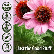 Nature’s Answer Echinacea & Goldenseal Alcohol-Free Herbal Extract 120ml