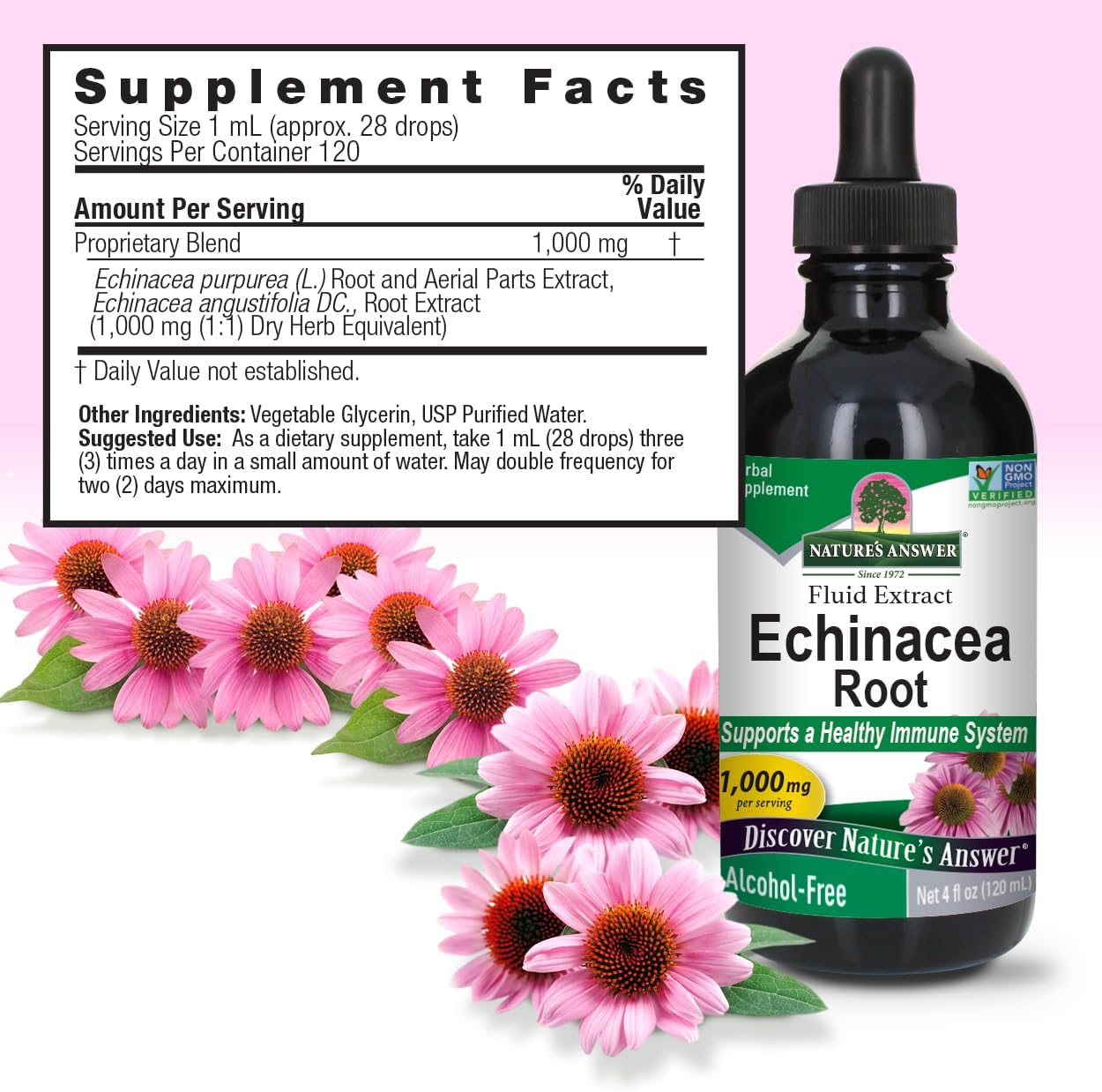 Nature’s Answer Echinacea Root supplement facts alcohol free 120ml back label on a pink background