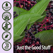 Nature’s Answer Sambucus Elderberry Spray Alcohol-Free - 60ml