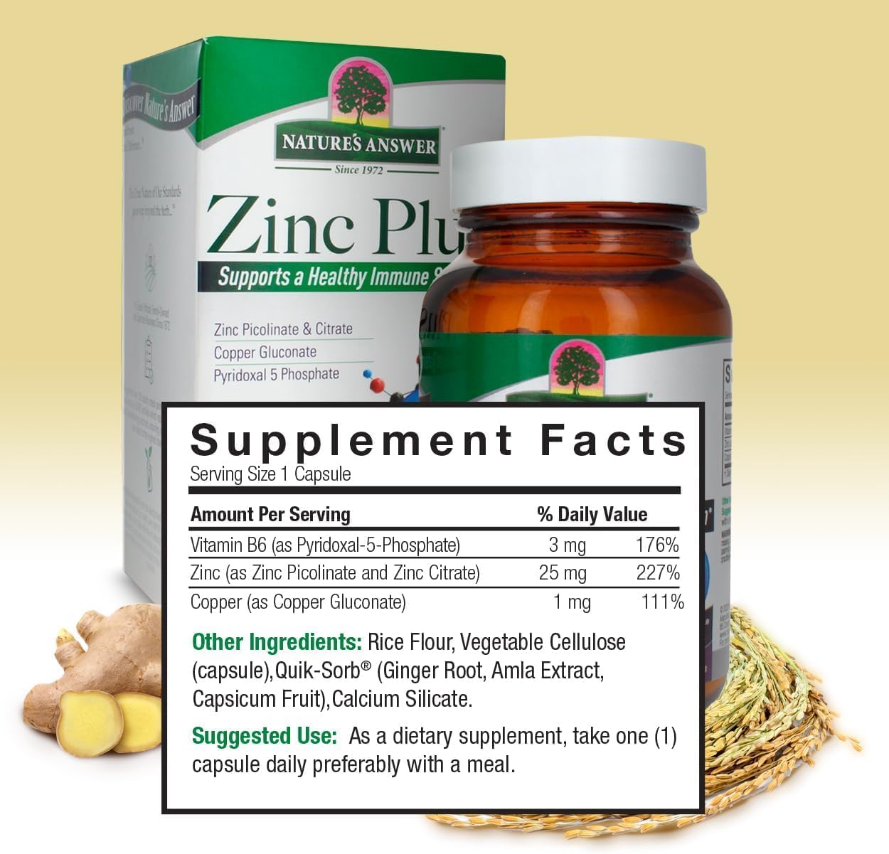 Nature’s Answer Zinc Plus supplement facts vitamin B6 copper 60 capsules