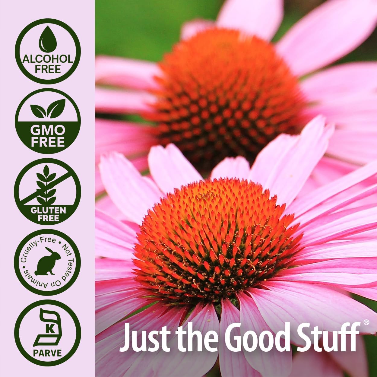 Nature's Answer Echinacea Liquid Extract Alcohol-Free