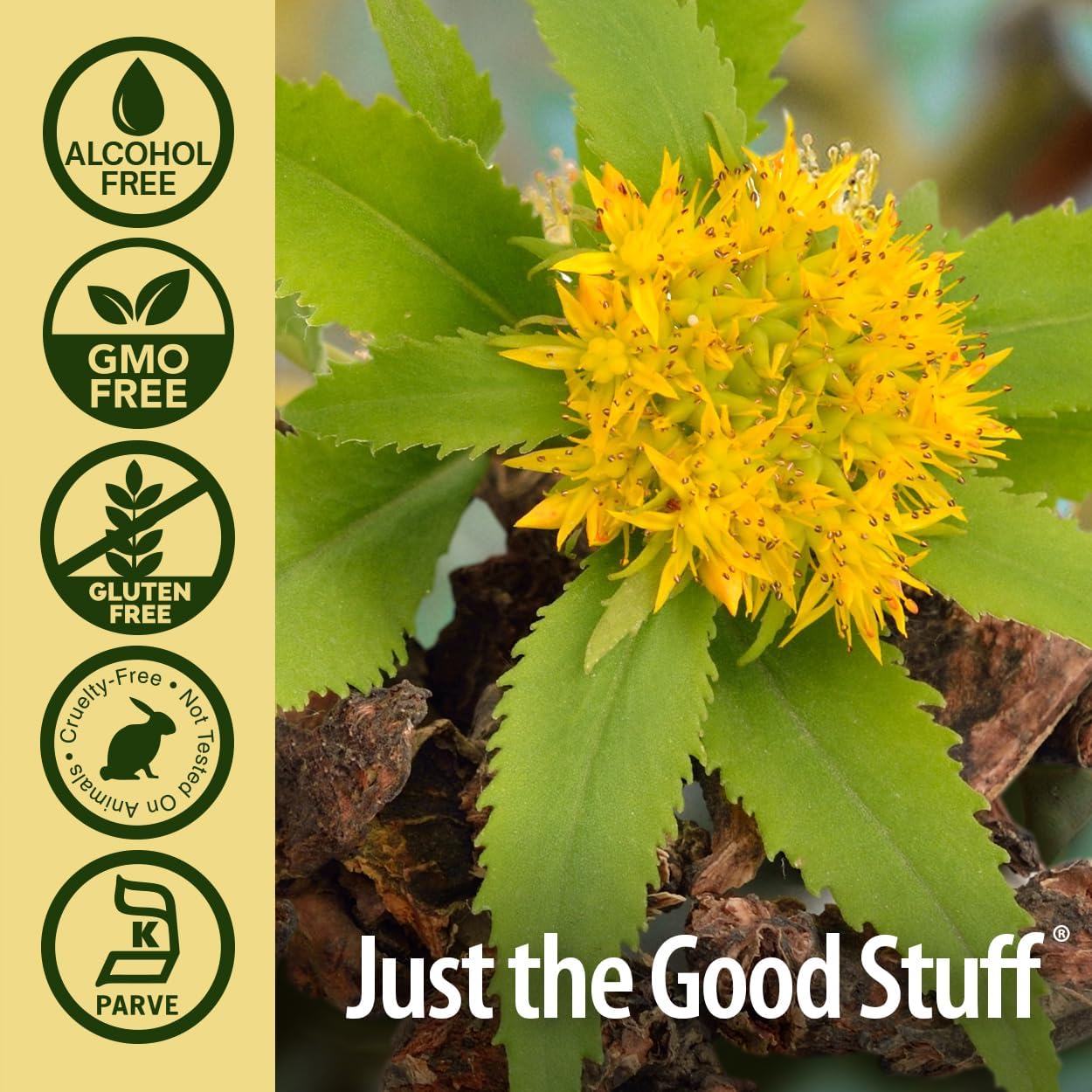 Nature’s Answer Rhodiola Root Alcohol-Free Liquid Extract - 30ml