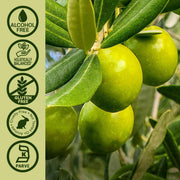 Nature’s Answer Olive Leaf Alcohol-Free Liquid Extract - 60ml