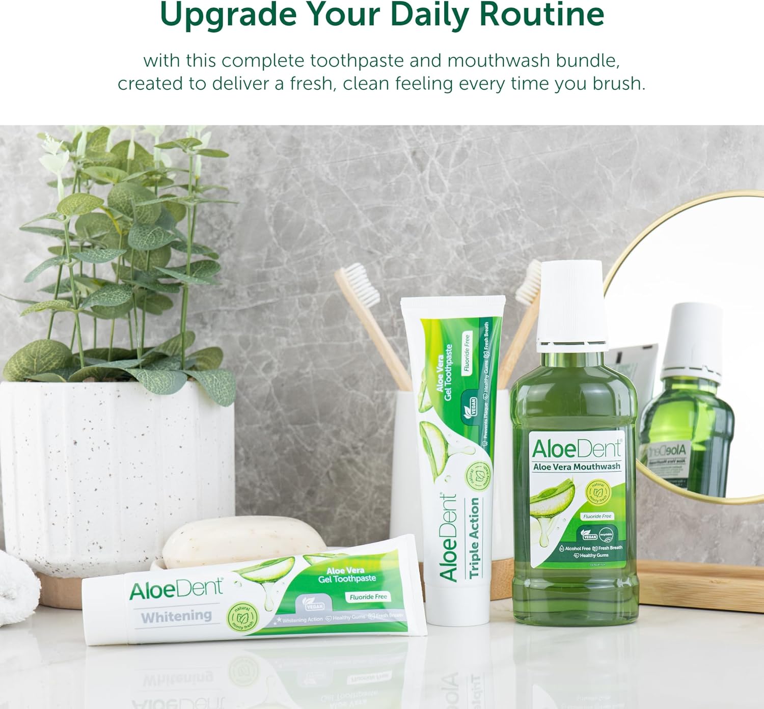 Lifestyle Image: Aloe Dent Aloe Vera whitening toothpaste daily oral care 100ml daily routine