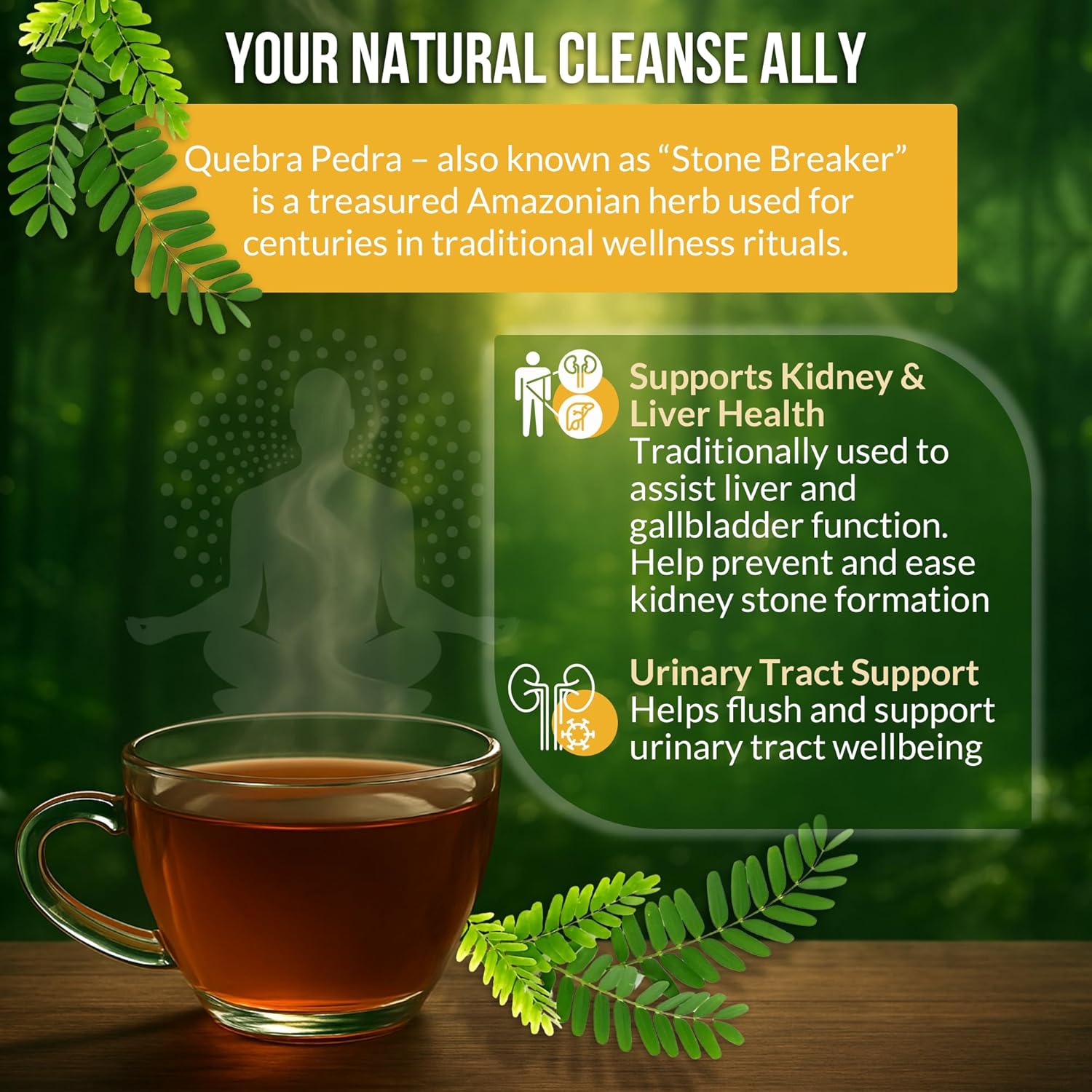 Rio Amazon Quebra Pedra Tea Infusion ingredient information herbal tea 40 teabags