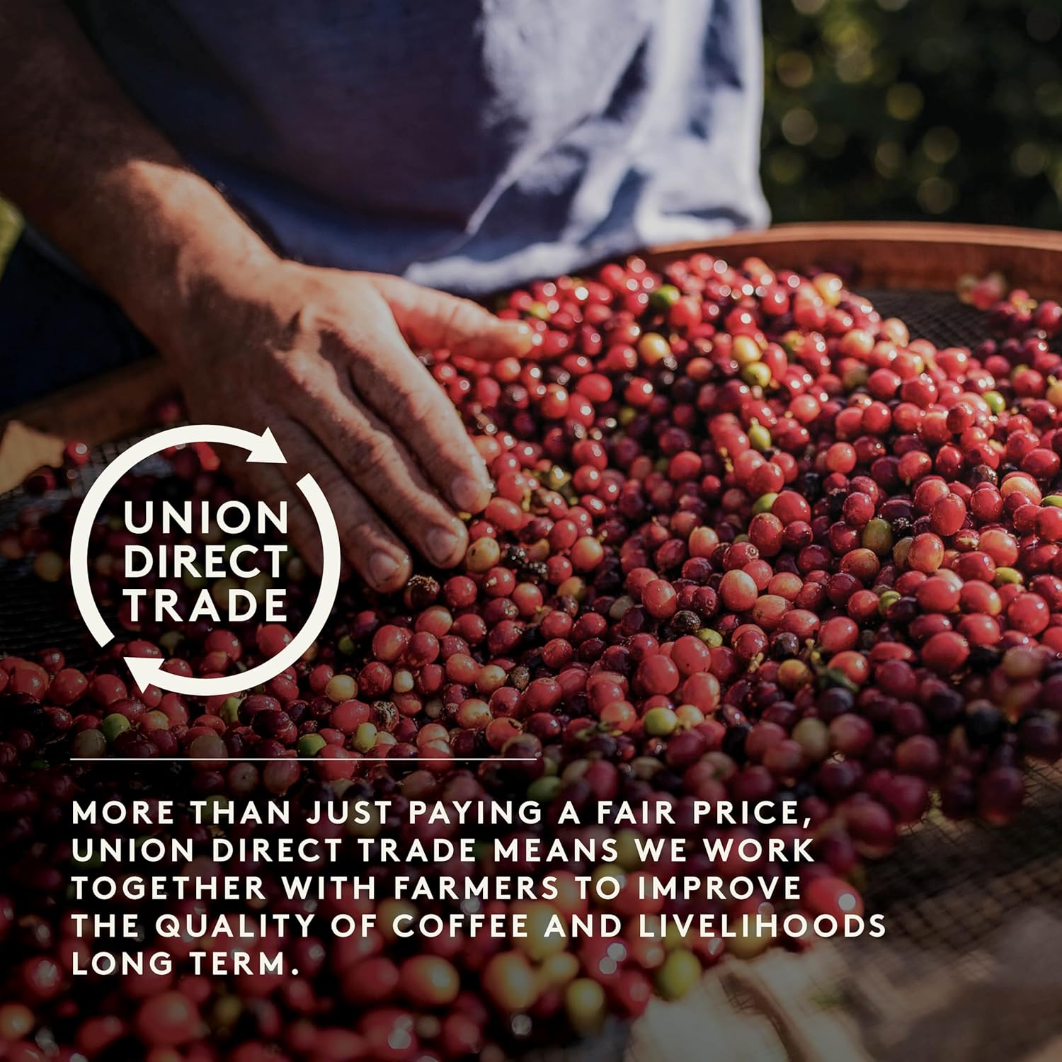 Union Timana Colombia Ground Coffee for Cafetiere - 200g