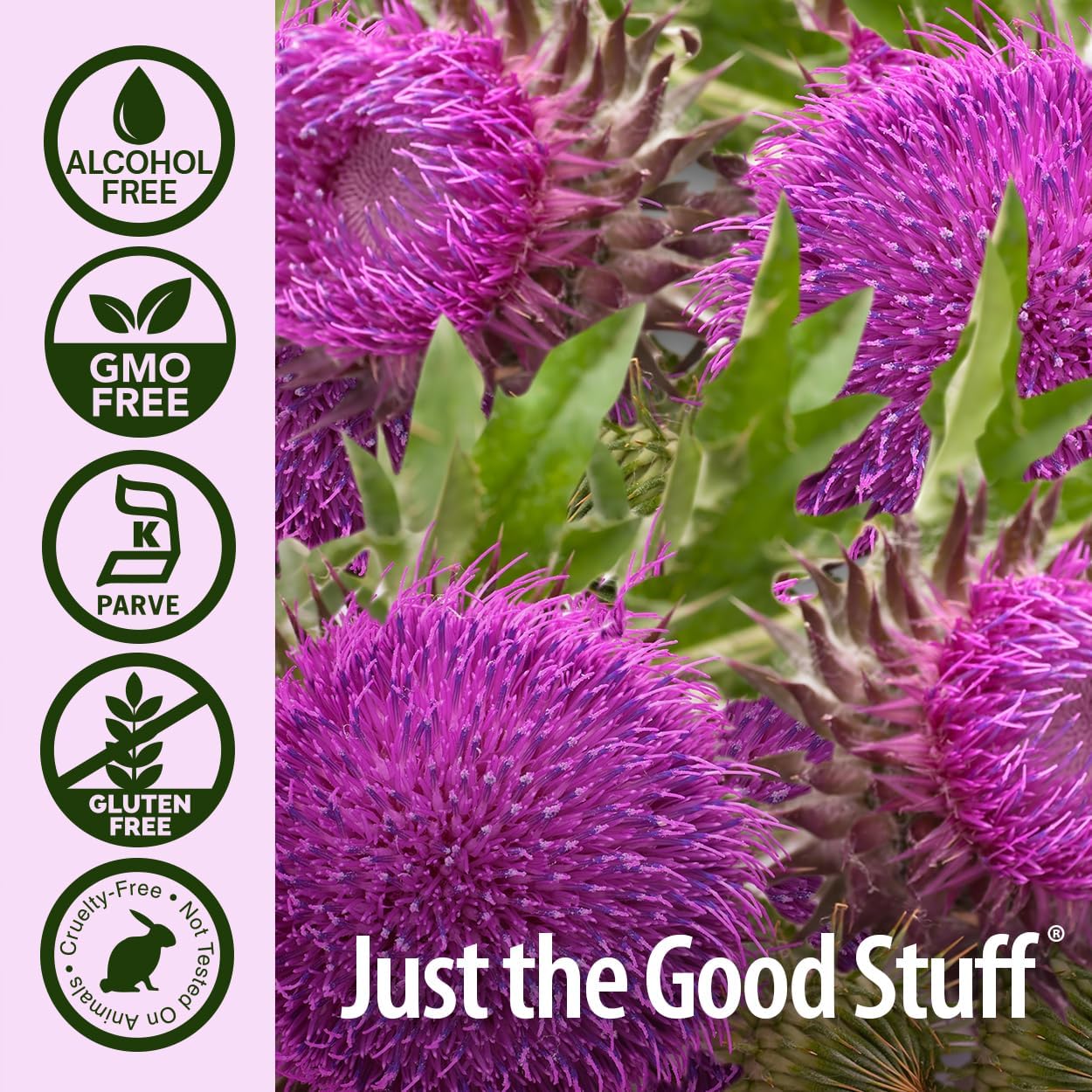 Nature’s Answer Milk Thistle Seed Liquid Extract Alcohol-Free - 60ml
