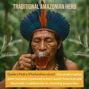 Rio Amazon Quebra Pedra Tea Infusion prepared herbal beverage 40 teabags