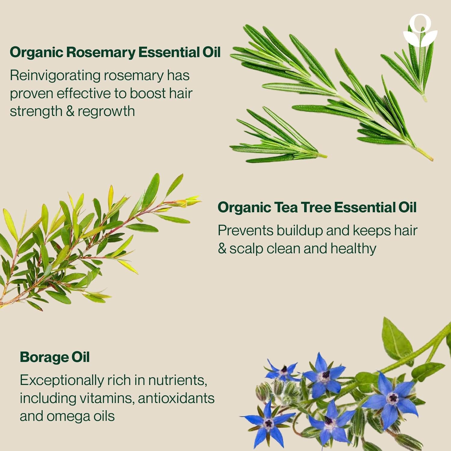 ingredients image: Balmonds Hair and Scalp Oil 50ml ingredients rosemary hemp tea tree oils