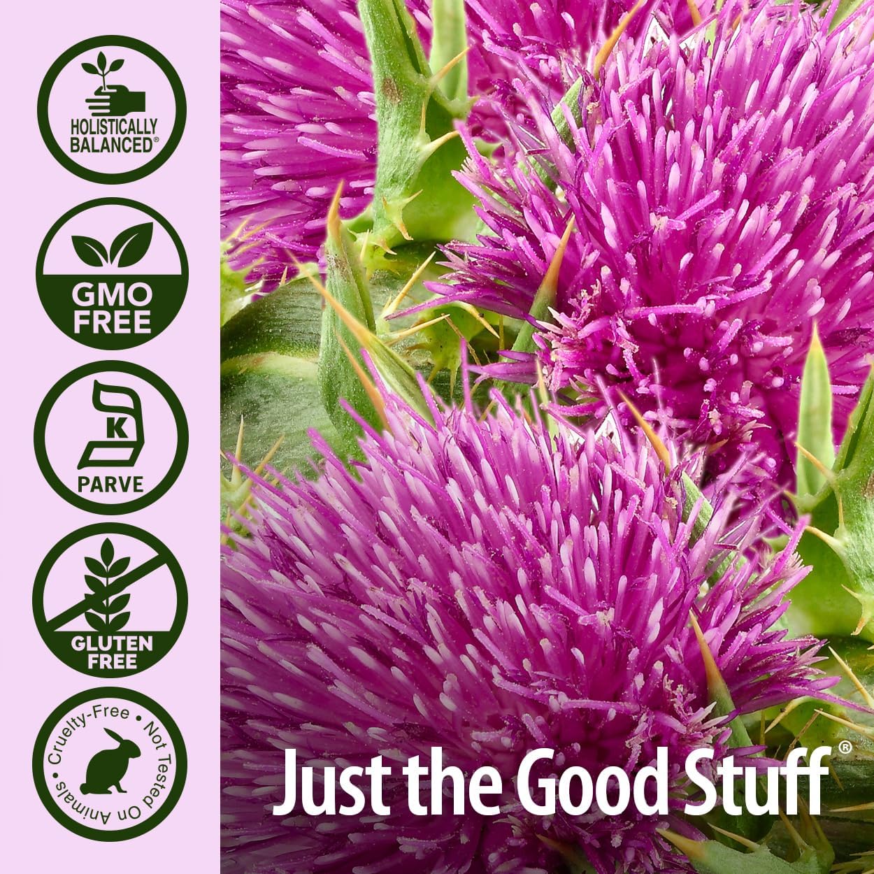 Nature’s Answer Milk Thistle Liquid Extract Low Alcohol - 30ml