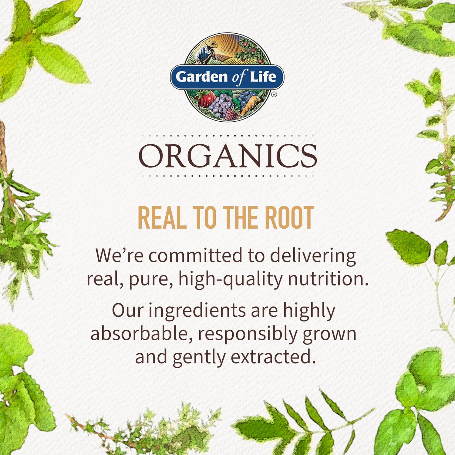 Garden of Life Organics Daily Balance - Adaptogenic Herbs & B Vitamins