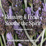Dr. Bronner's Organic Lavender Hand Cleansing Spray 60ml bottle ingredients