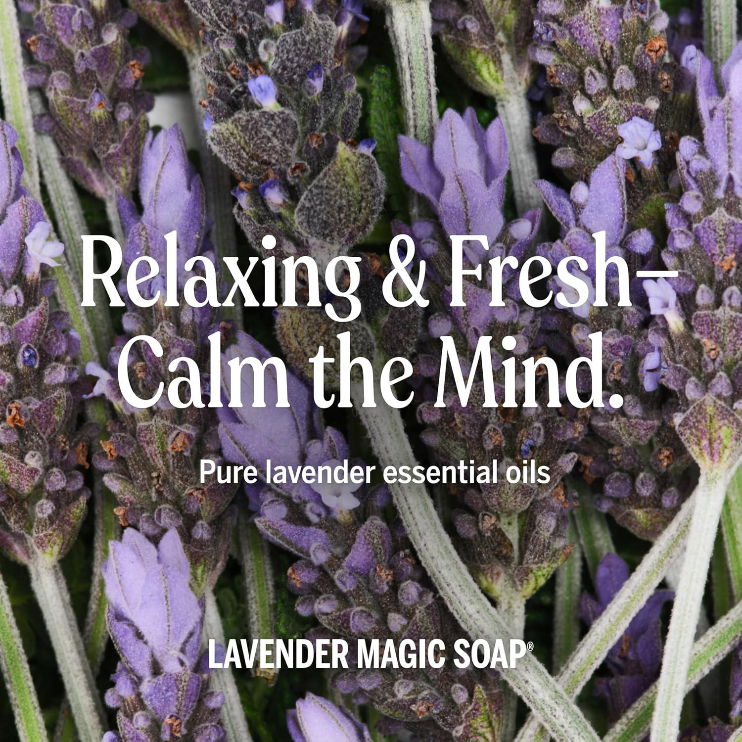 Dr. Bronner's Lavender Pure-Castile Liquid Soap bottle, lavender scent, 240ml, ingredients