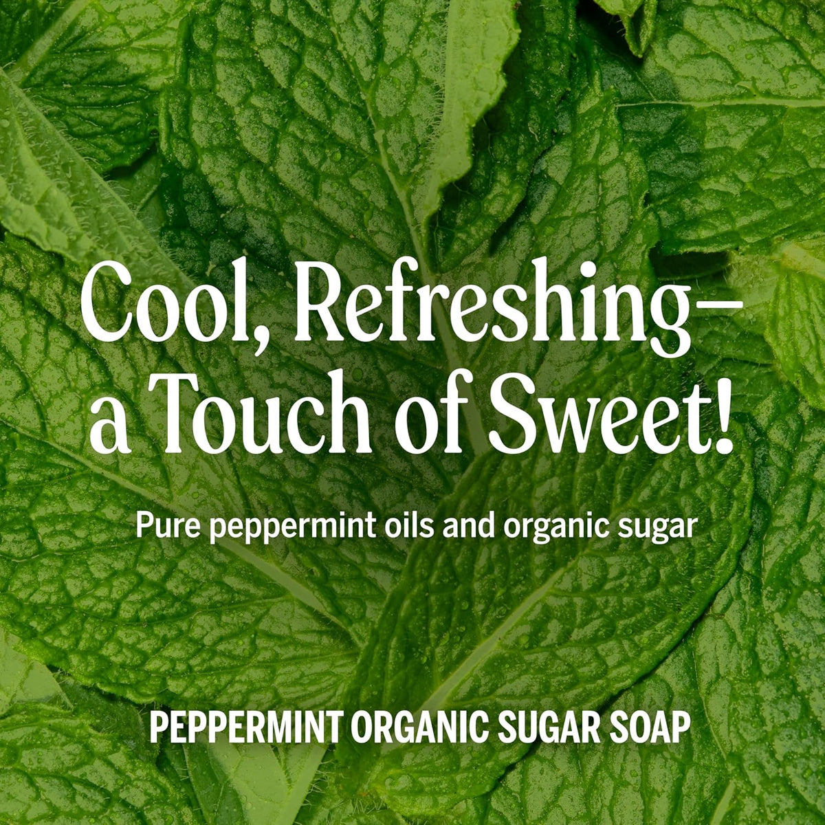 Dr. Bronner's Peppermint 4-in-1 Organic Sugar Pump Soap 355ml pump bottle ingredients