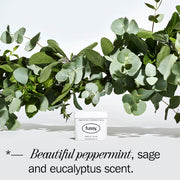 Fussy Refillable Natural Deodorant Wavy Days ingredient information 40g