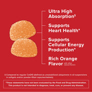 Supplement facts: Qunol CoQ10 gummies supplement facts 100mg ingredients 60 count