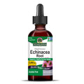 Extracto herbal sin alcohol de raíz de Equinácea de Nature’s Answer – 120ml