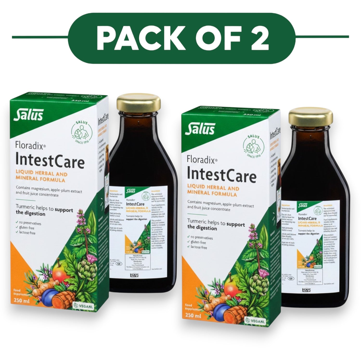 Floradix IntestCare Liquid Herbal & Mineral Formula 250ml Pack of 2