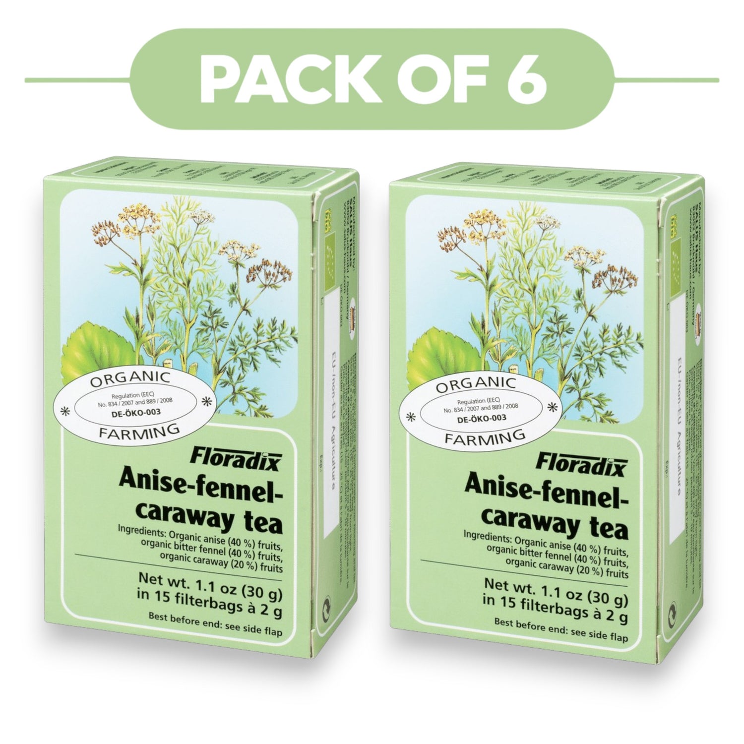 Floradix Organic Anise-Fennel-Caraway Tea 30g 15 Filterbags Pack of 6