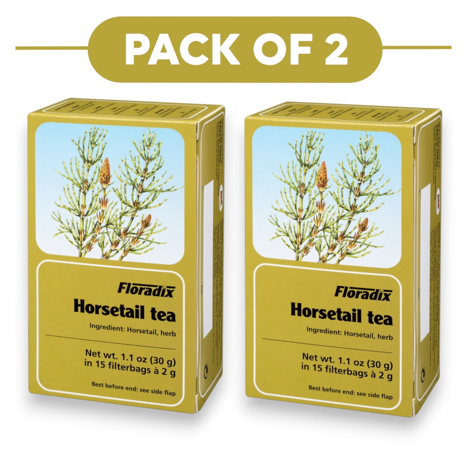 Floradix Organic Horsetail Tea 30g 15 Filterbags Pack of 2