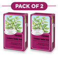 Floradix Organic Lemon Balm Tea 24g 15 Filterbags Pack of 2