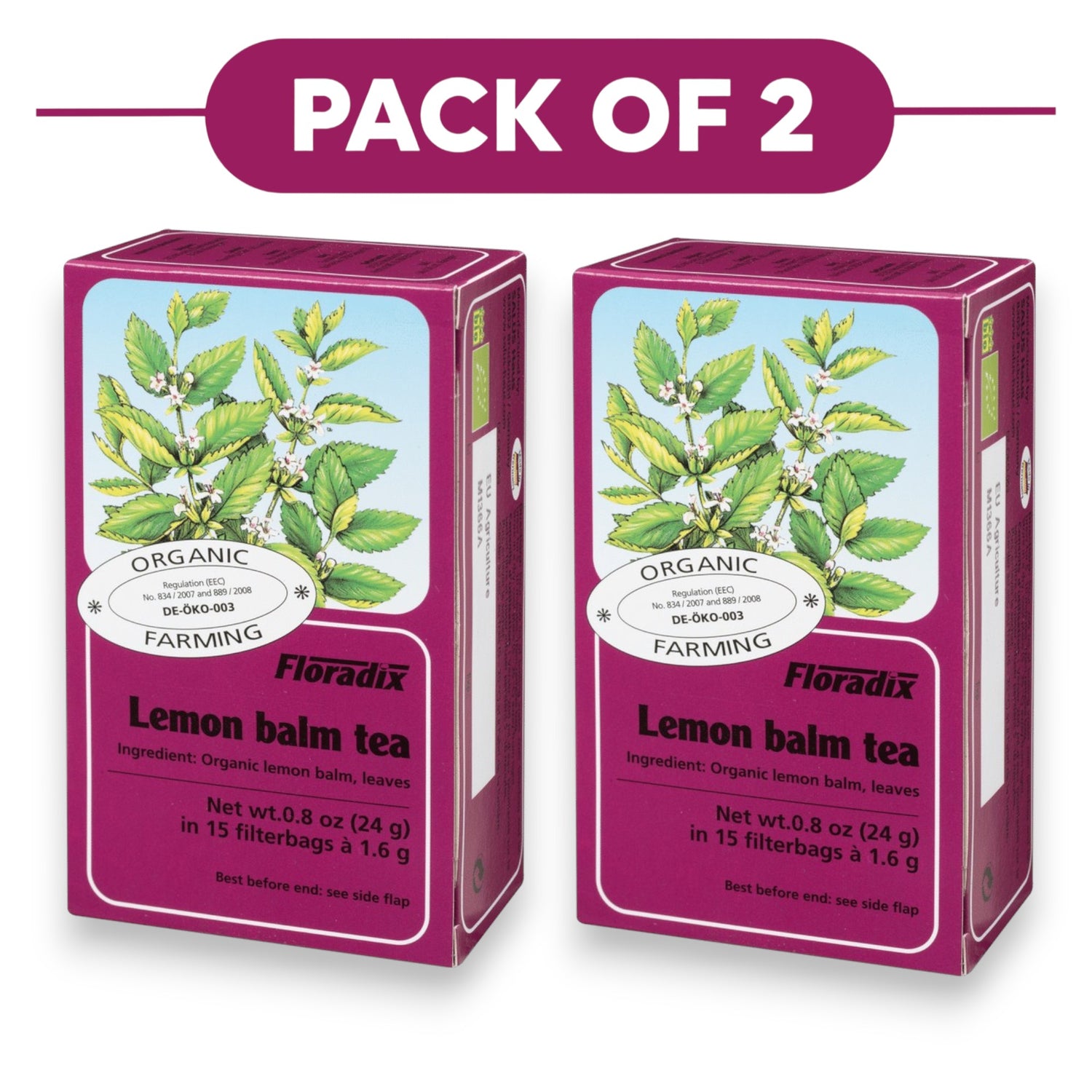 Floradix Organic Lemon Balm Tea 24g 15 Filterbags Pack of 2