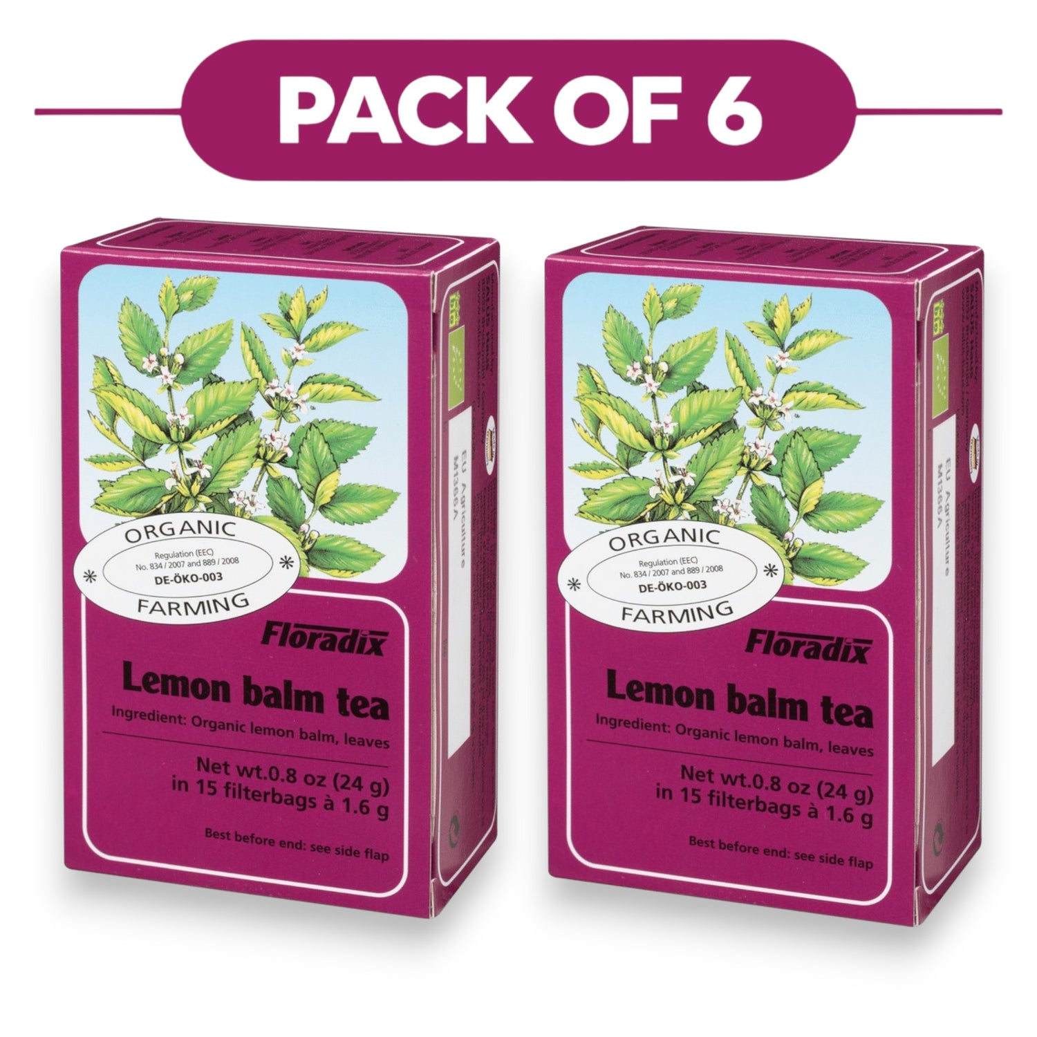 Floradix Organic Lemon Balm Tea 24g 15 Filterbags Pack of 6