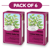 Floradix Organic Lemon Balm Tea 24g 15 Filterbags Pack of 6