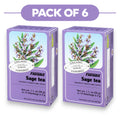 Floradix Organic Sage Tea 30g 15 Filterbags Pack of 6