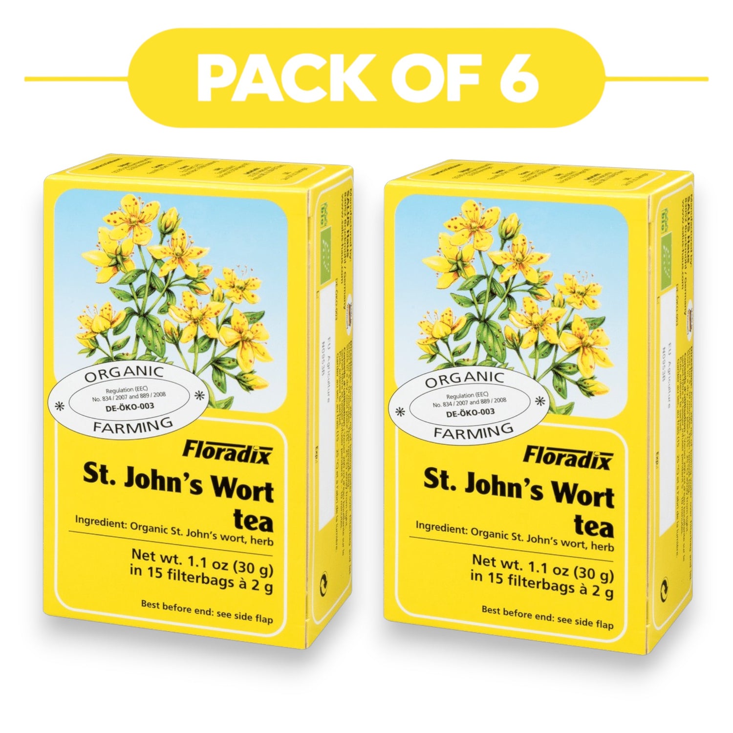 Floradix Organic St. John's Wort Tea 30g 15 Filterbags Pack of 6